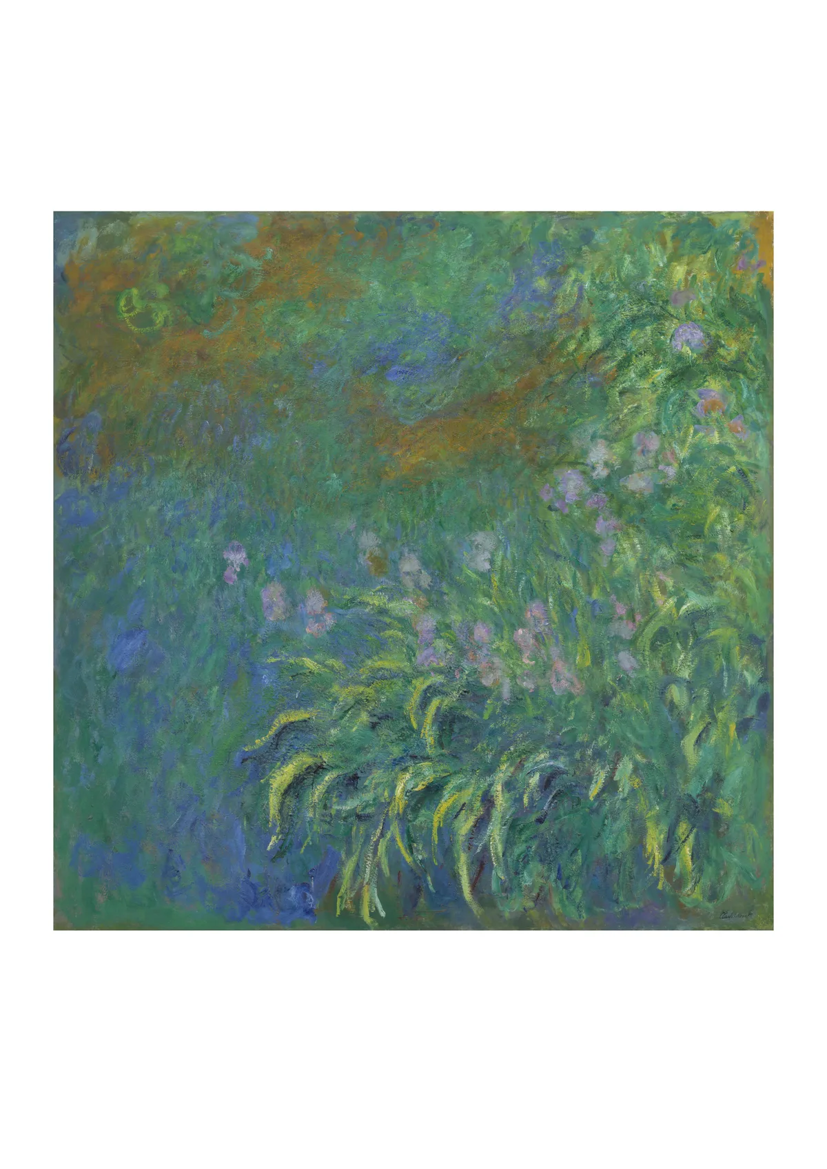 Affiche « Iris »